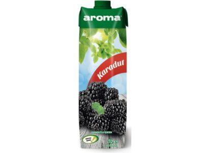 AROMA MEYVE SUYU 1 LT KARADUT 1*12